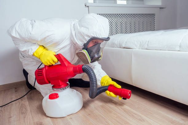Best Residential Pest Control  in Occoquan, VA