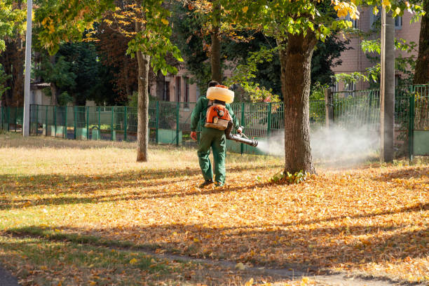 Reliable Occoquan, VA Pest Control Solutions
