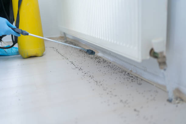 Best Commercial Pest Control Services  in Occoquan, VA