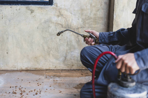 Best Pest Inspection Near Me  in Occoquan, VA